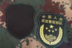 武警部队军衔等级肩章(武警的肩章是军衔还是警衔
