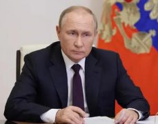 俄方回应普京不出席G20原因,总统留在
